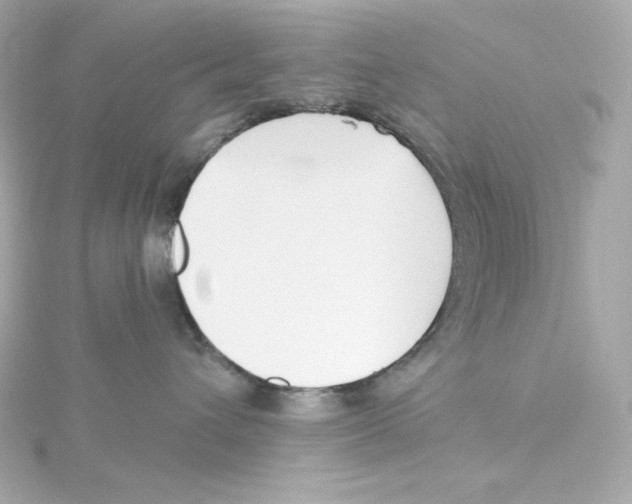 X0000115250432200911271908