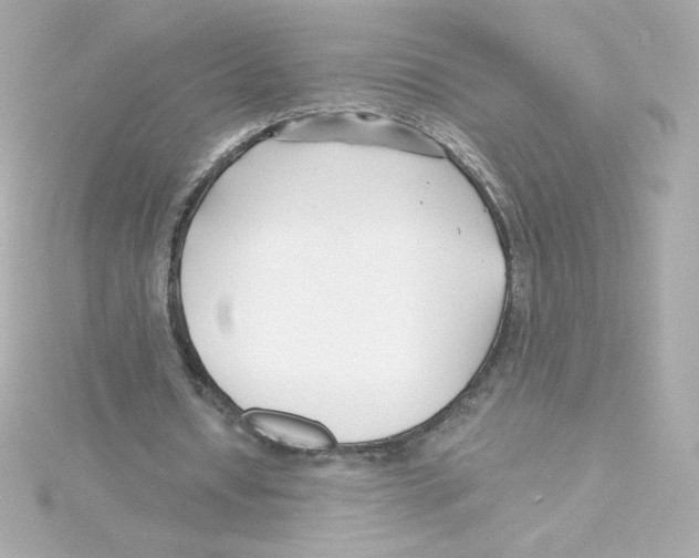 X0000115250434200911271908