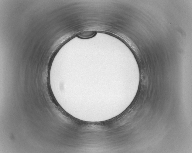 X0000115250437200911271908