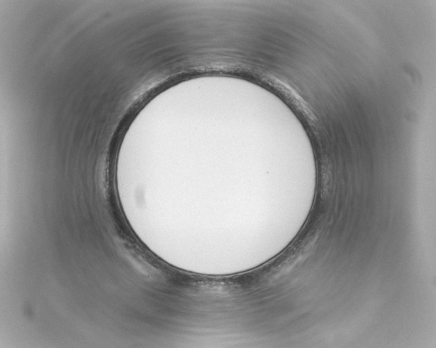 X0000115250439200911271908