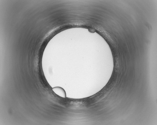 X0000115250440200911271908