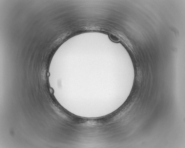 X0000115250441200911271908