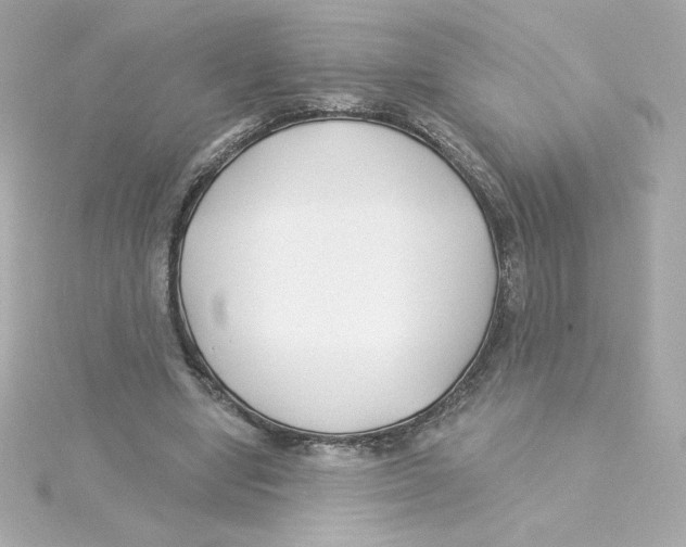 X0000115250442200911271908