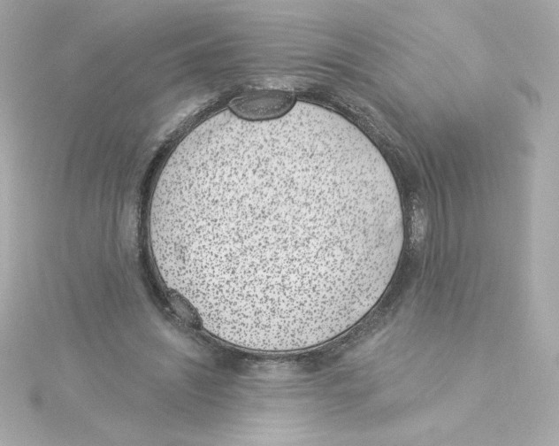 X0000115250444200911271908