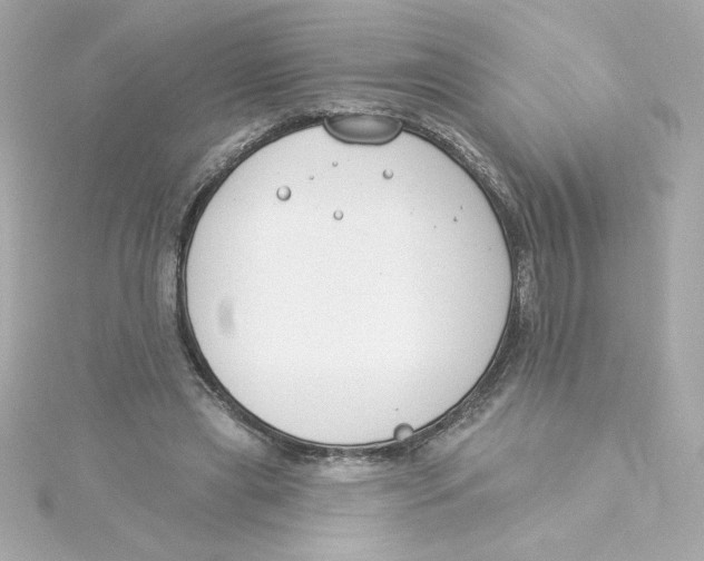 X0000115250445200911271908