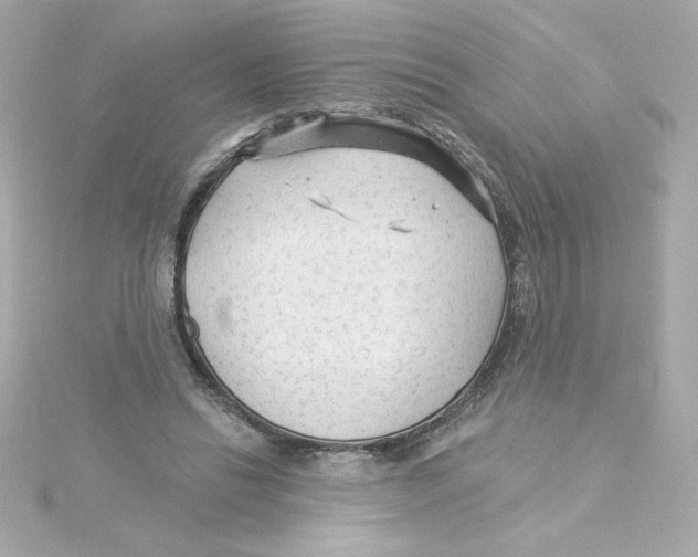 X0000115250446200911271908