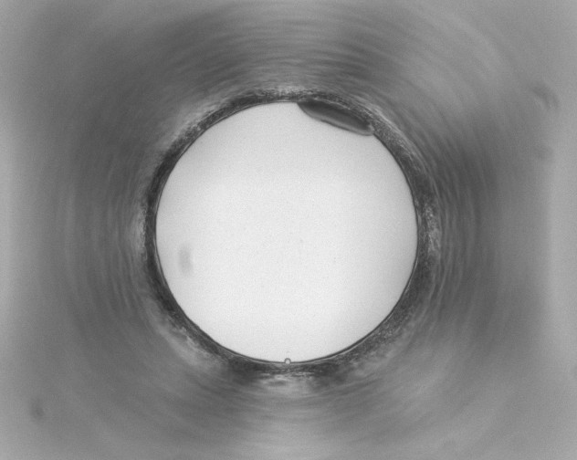 X0000115250447200911271908