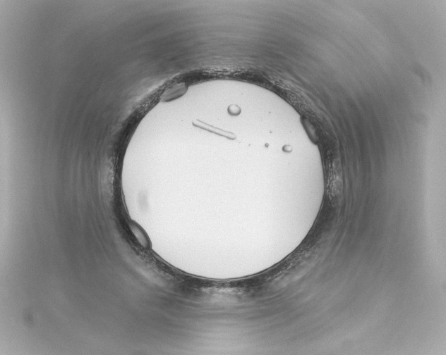 X0000115250448200911271908