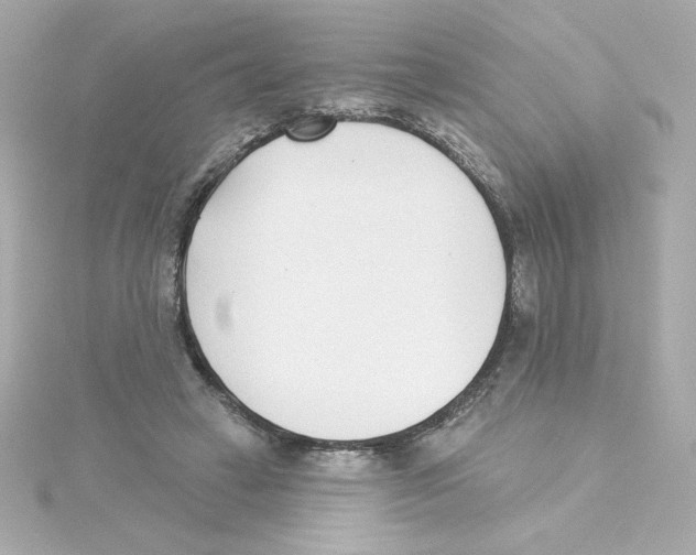 X0000115250449200911271908