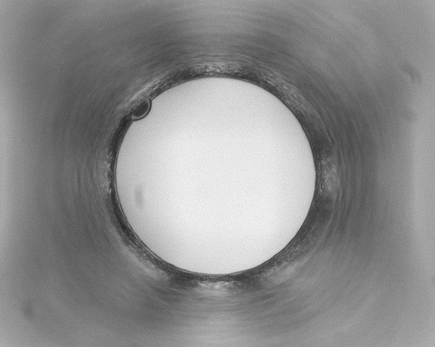 X0000115250450200911271908