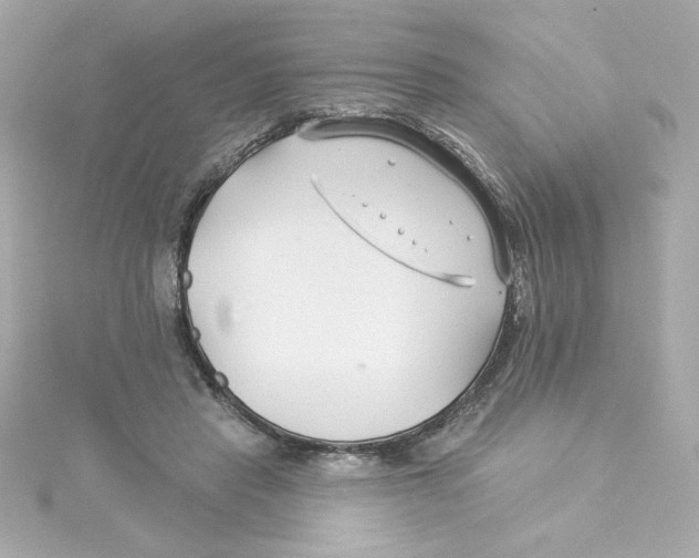 X0000115250453200911271908