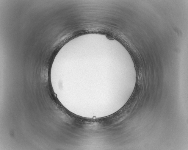 X0000115250454200911271908