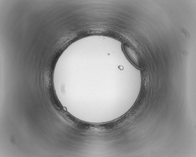 X0000115250455200911271908