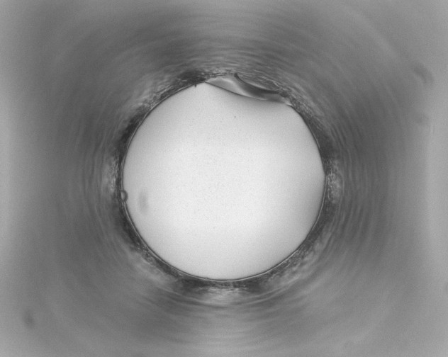 X0000115250458200911271908