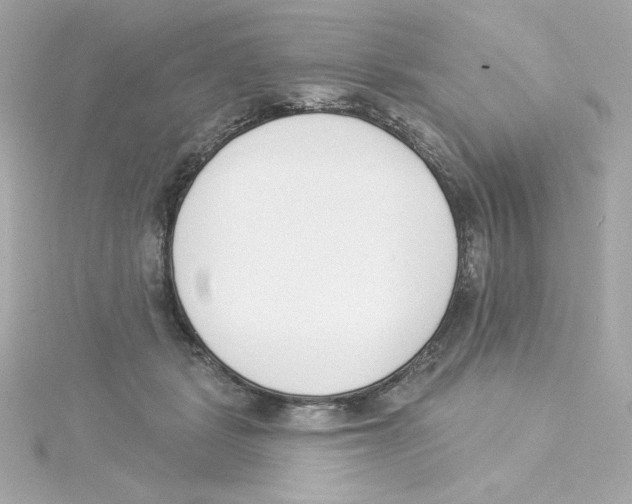 X0000115250461200911271908