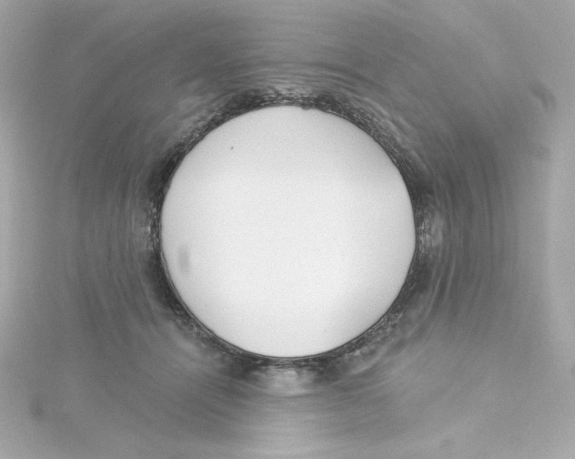 X0000115250464200911271908