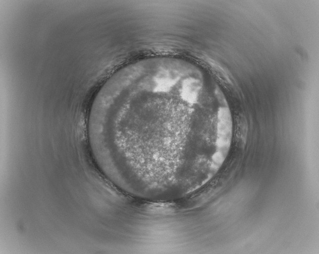 X0000115250465200911271908