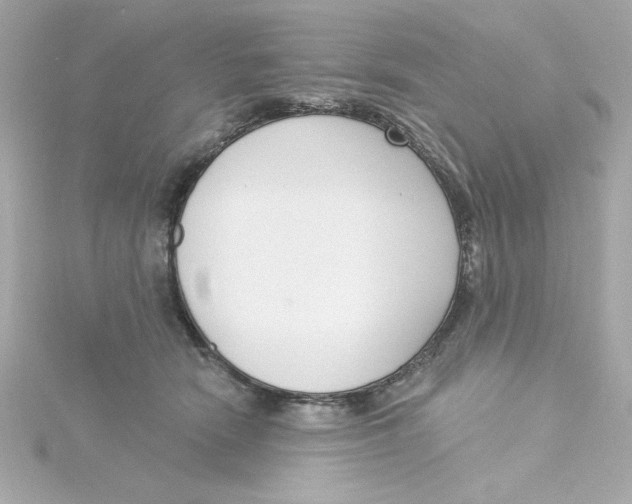 X0000115250466200911271908