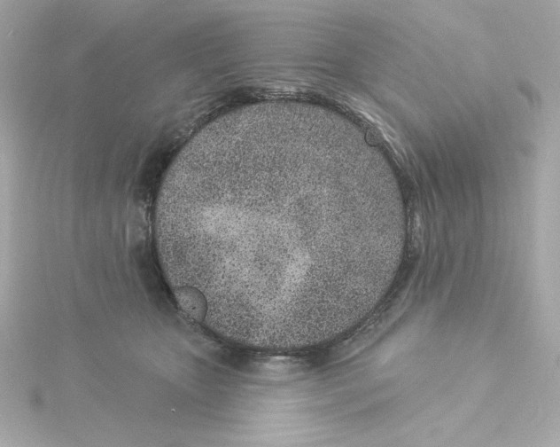 X0000115250467200911271908