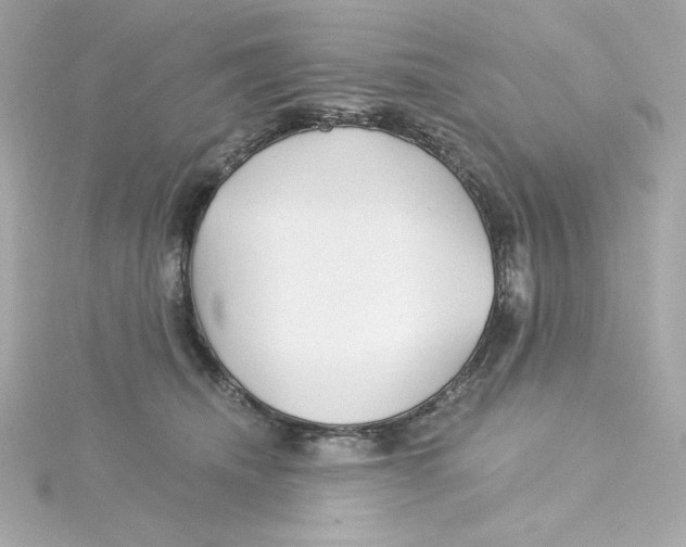 X0000115250468200911271908