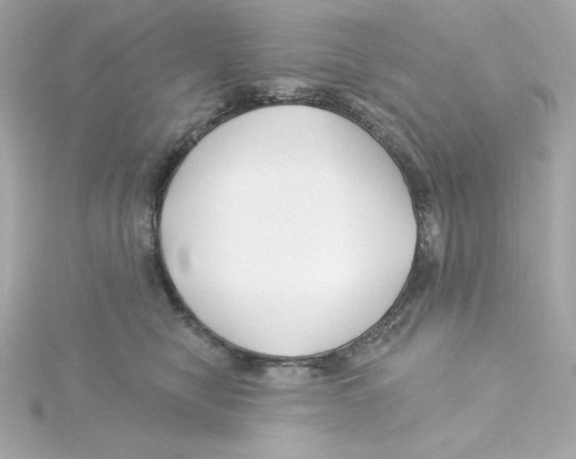 X0000115250470200911271908