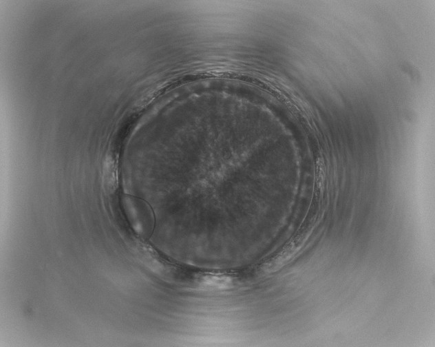 X0000115250471200911271908