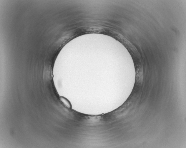 X0000115250474200911271908