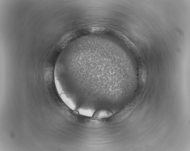 X0000115250475200911271908