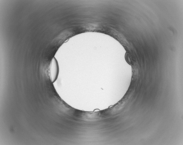 X0000115250479200911271908