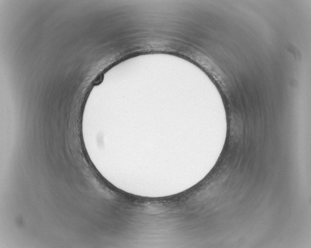 X0000115250481200911271908