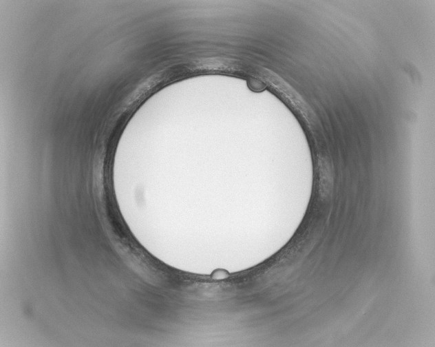 X0000115250482200911271908