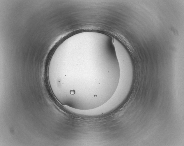 X0000115250484200911271908