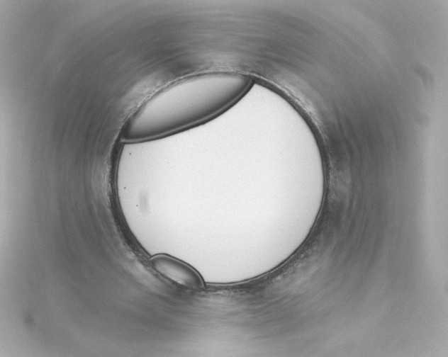 X0000115250485200911271908