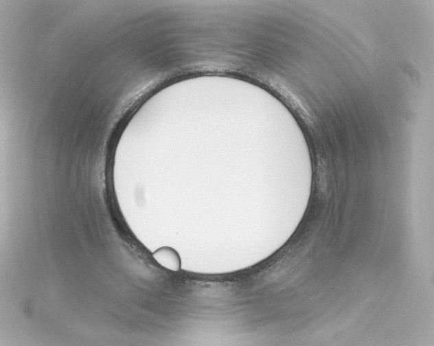 X0000115250486200911271908