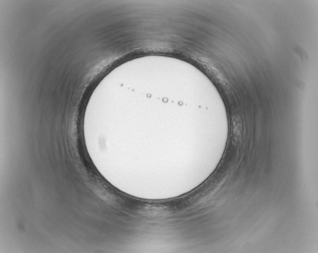 X0000115250487200911271908