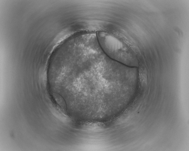 X0000115250488200911271908