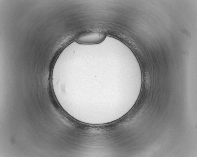 X0000115250490200911271908