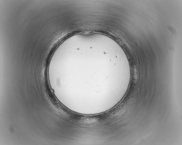 X0000115250491200911271908