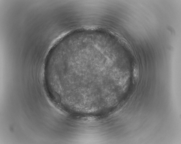 X0000115250492200911271908