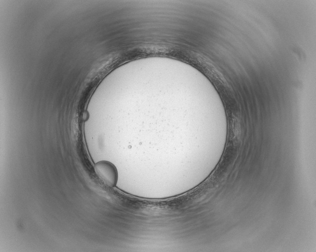 X0000115250494200911271908