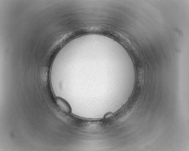 X0000115250495200911271908