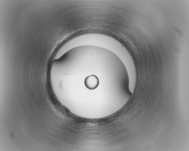 X0000115250496200911271908