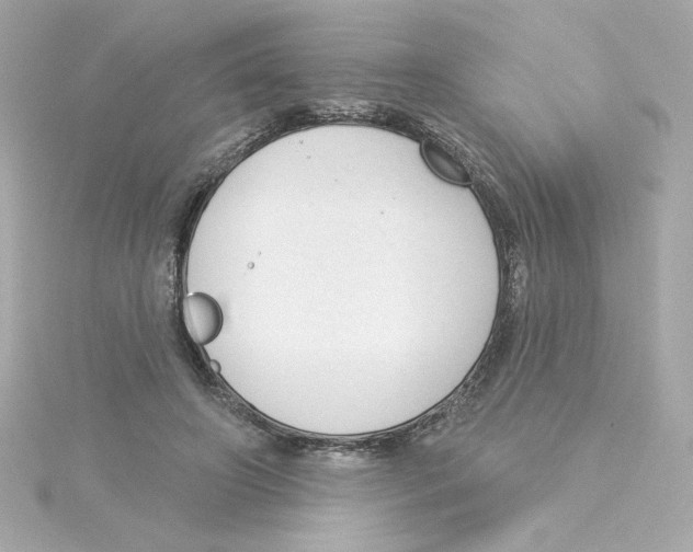 X0000115250498200911271908