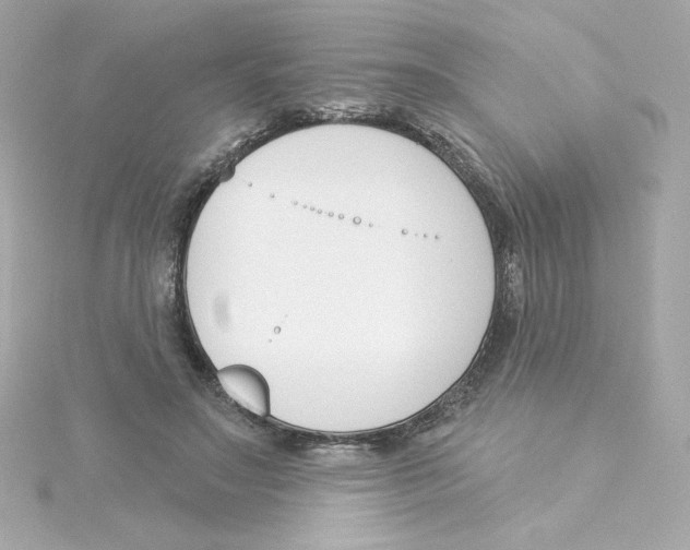 X0000115250499200911271908