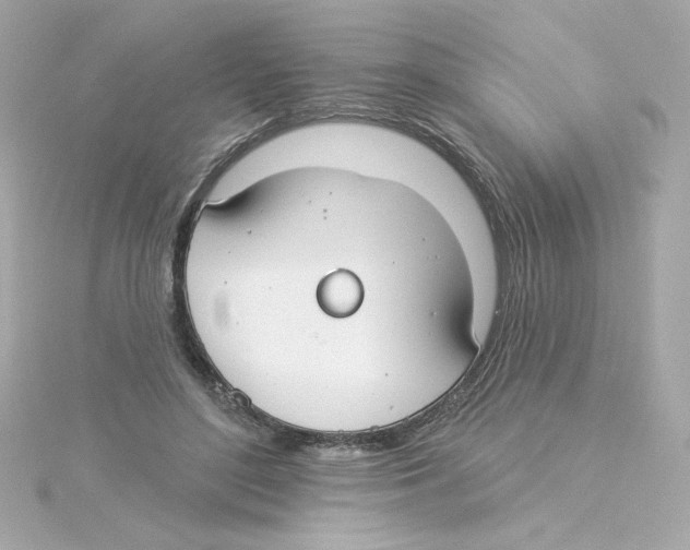 X0000115250500200911271908