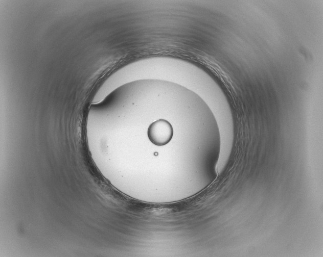 X0000115250501200911271908