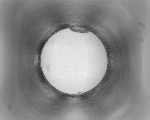 X0000115250502200911271908