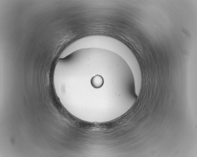 X0000115250504200911271907