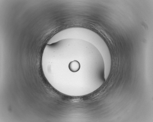 X0000115250505200911271907