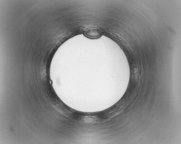 X0000115250508200911271907